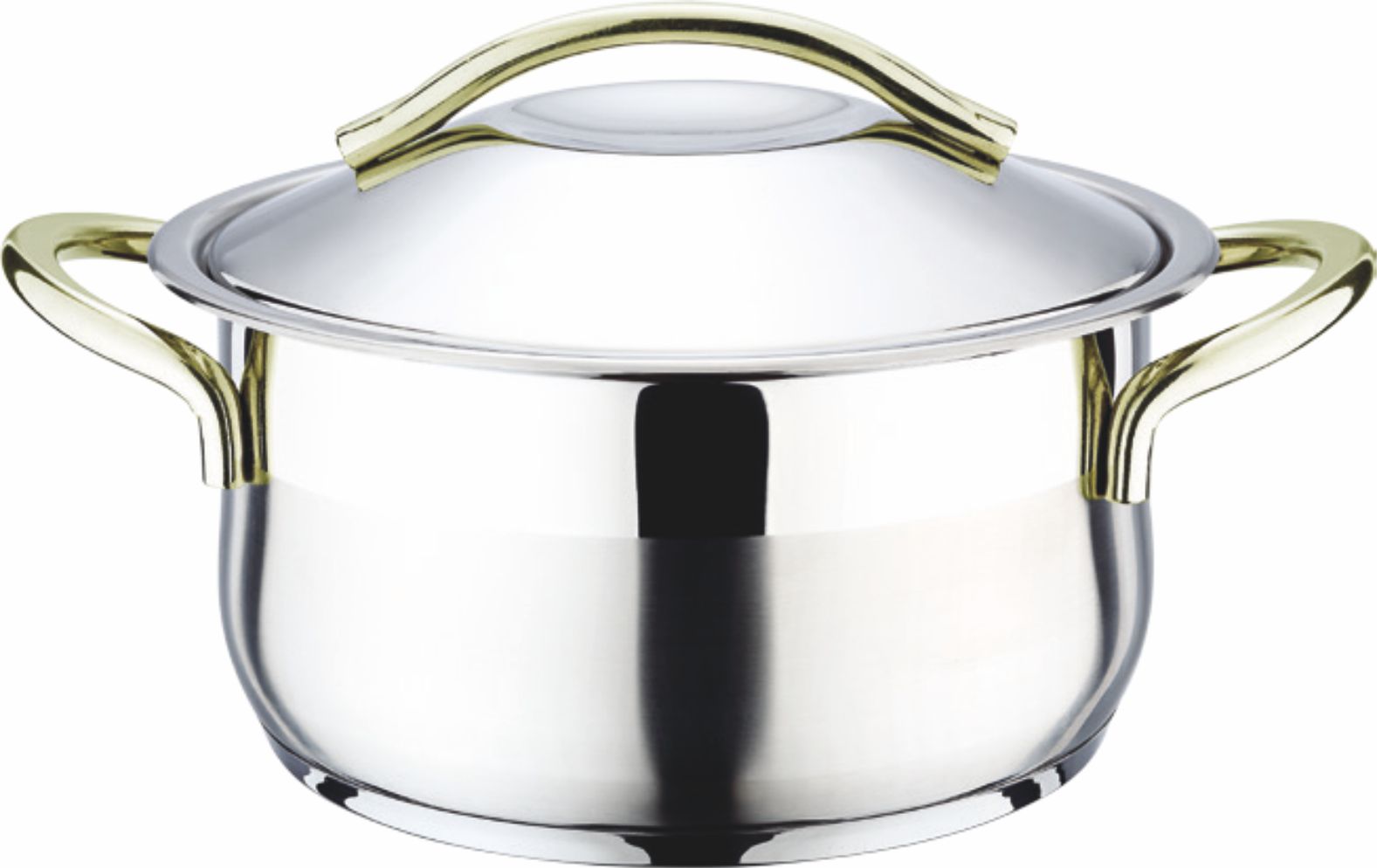 Moonalight 304 Quality Gold Pot